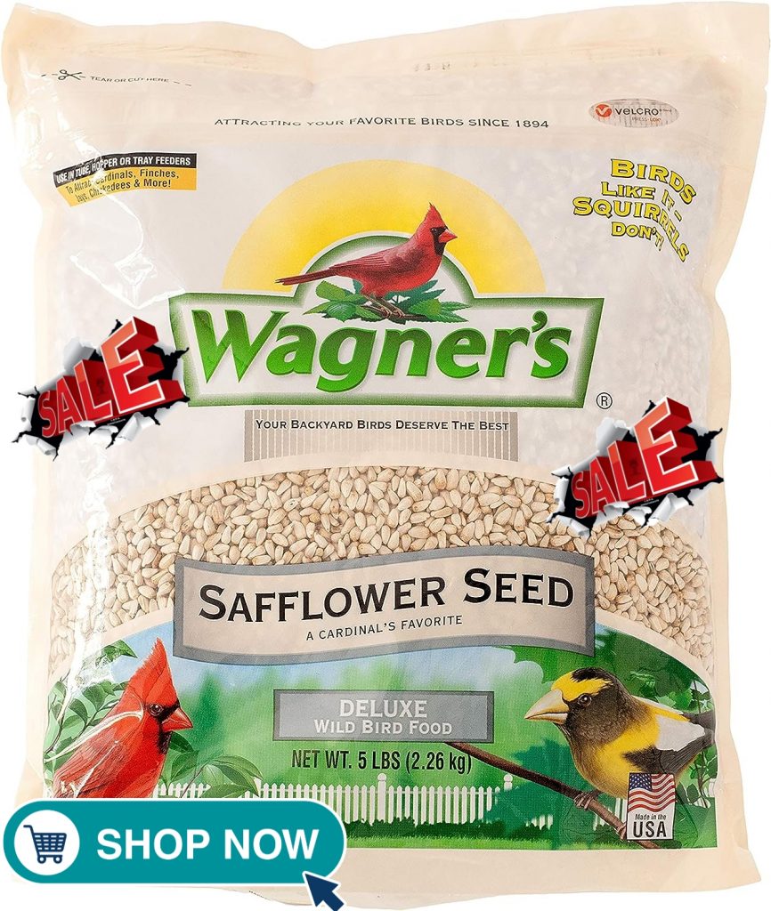 discount safflower seed for sale
